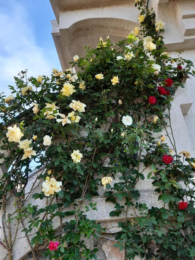 Bressa De Ma Affittacamere, Room & Breakfast Pietra Ligure Exterior photo